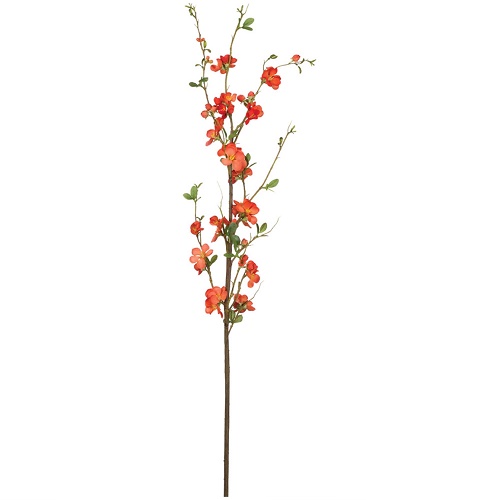 Orange Helenium Stem - Greenery & Floral - Tall Filler flowers Orange blossoms
